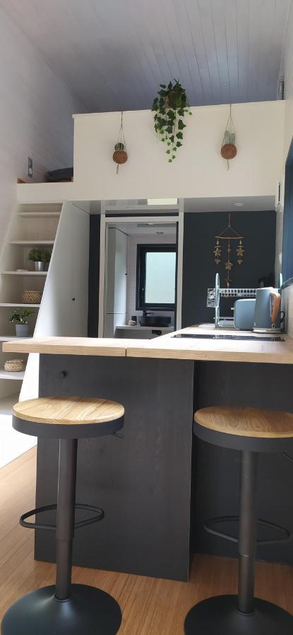 Gaillan-en-Médoc Tiny House Chez Carolineヴィラ エクステリア 写真